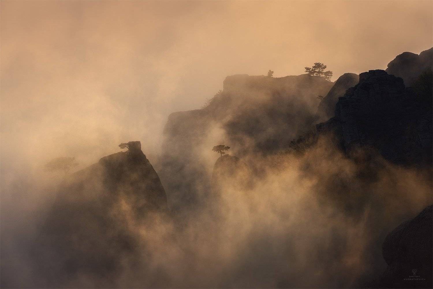 , Дмитрий Купрацевич