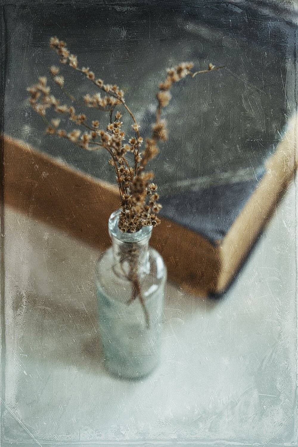 , Рут Андрей