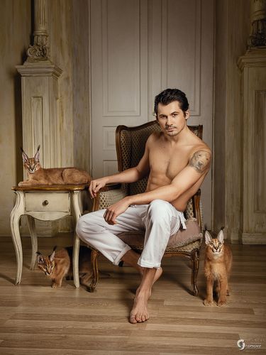 Кот&Cats