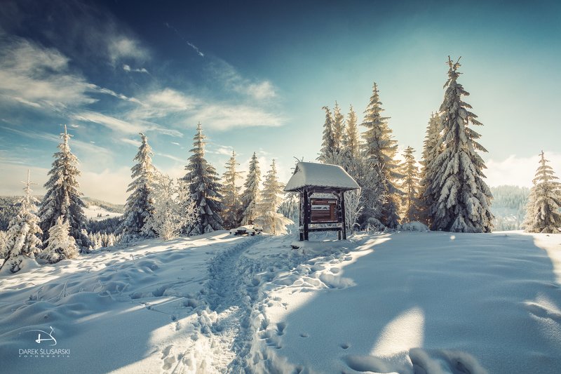 Turbacz фото превью