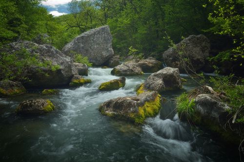 Река Черная