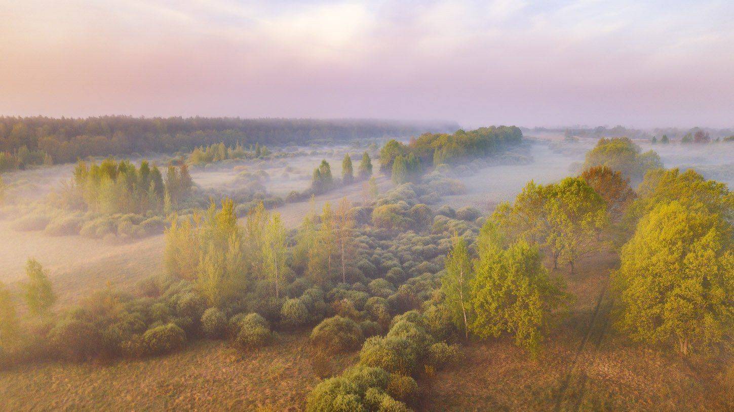беларусь, березина, весна, дронофото, май, рассвет, утро, Вейзе Максим