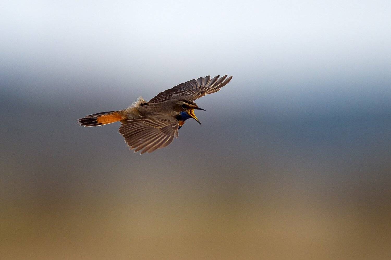 , Михаил Калинин