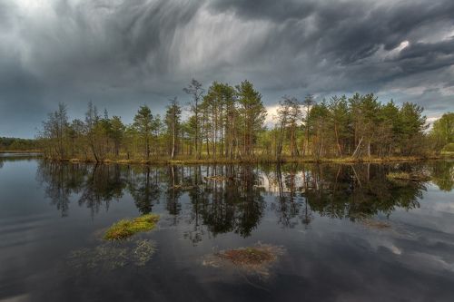 Весна на Красном озере
