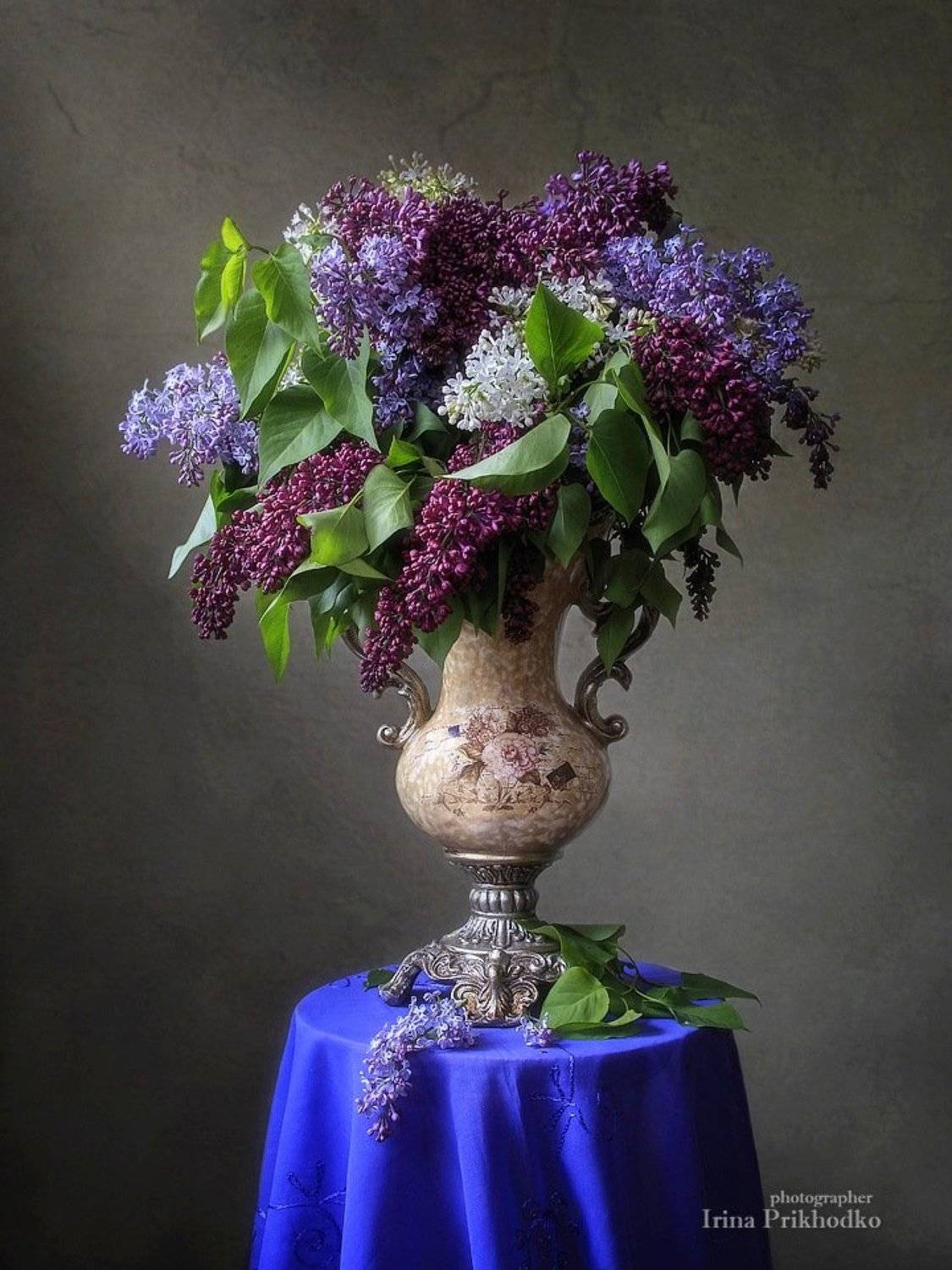 натюрморт, сирень, винтажная ваза, букет, весна, Ирина Приходько