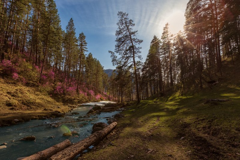 Алтай, Чемал фото превью