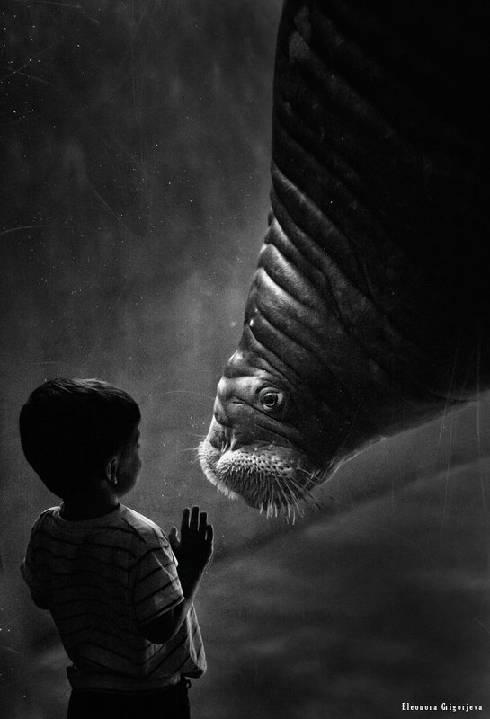 Контакт фото превью