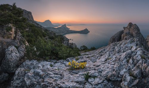 В Новый свет приходит утро