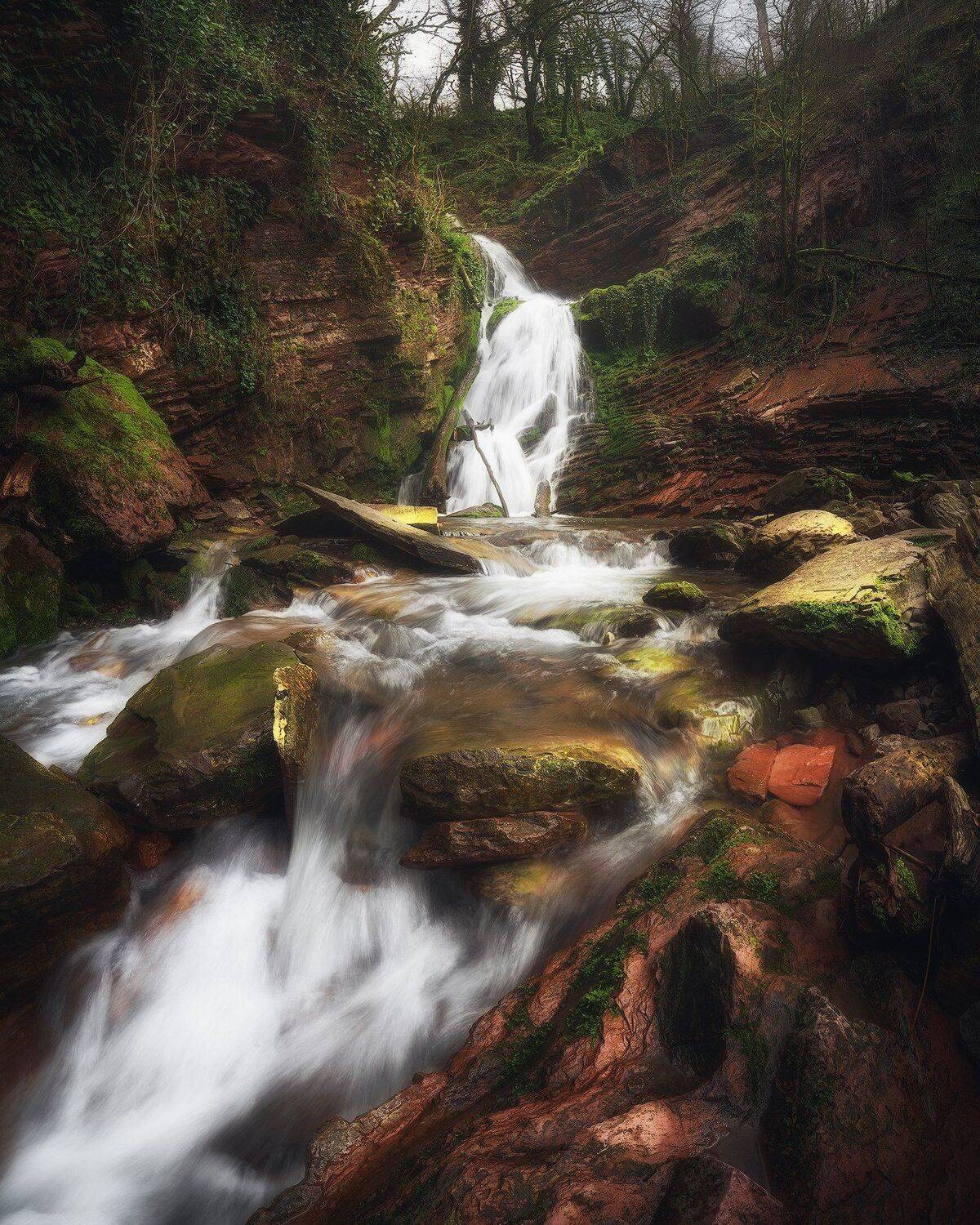 , Tania Leschinskaya