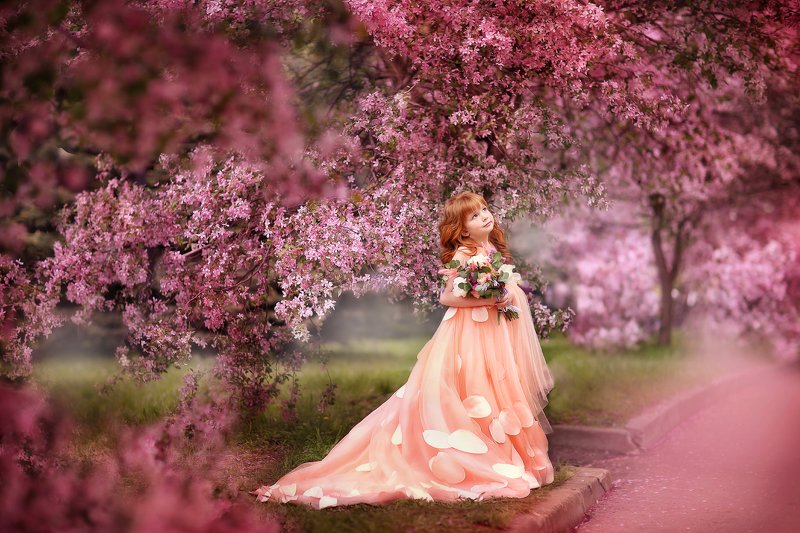 Розовый сад фото превью