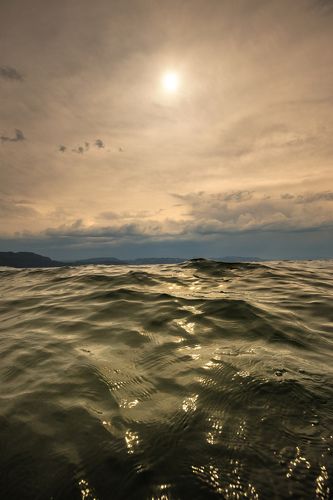 Swimming with the waves...