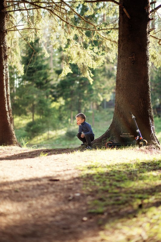 лето, лес, жара, мальчик, ребенок, солнце,природа,самокат, отдых Спрятался в тени фото превью