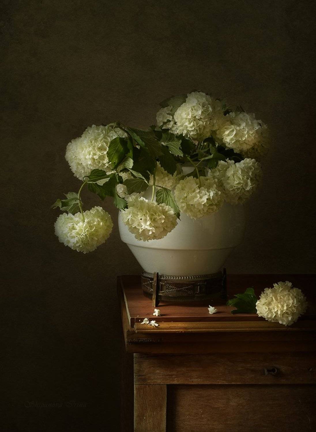 , Шипунова Ирина