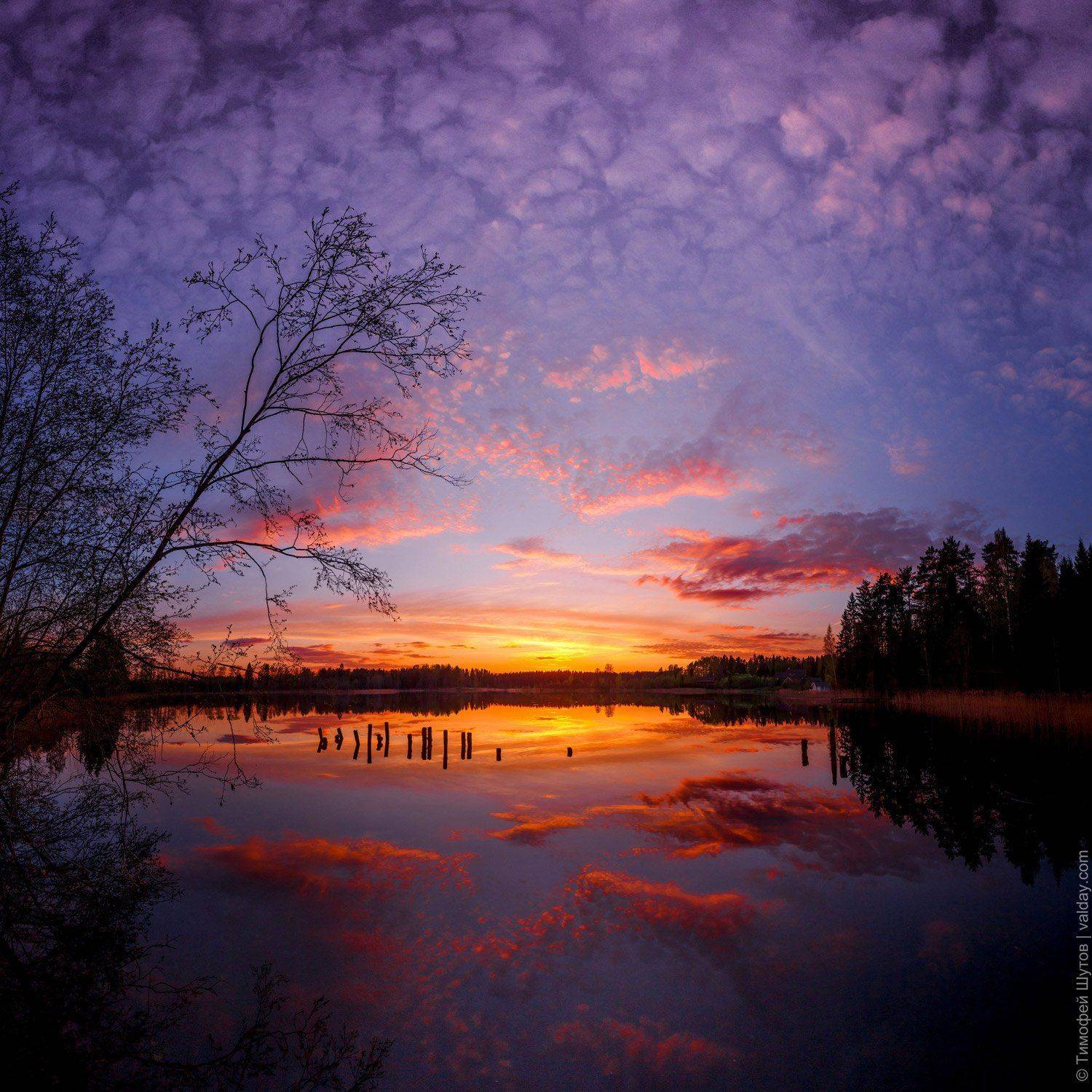 валдай, Тимофей Шутов