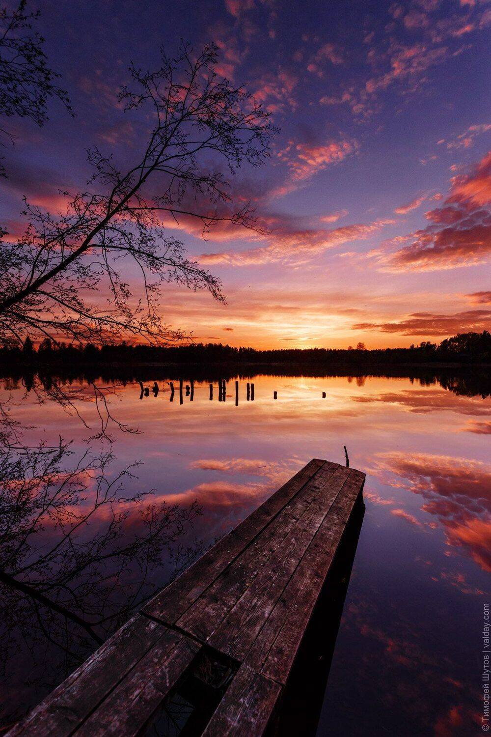 валдай, Тимофей Шутов
