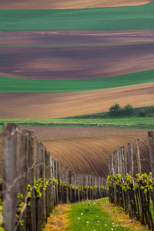 Moravia фото превью