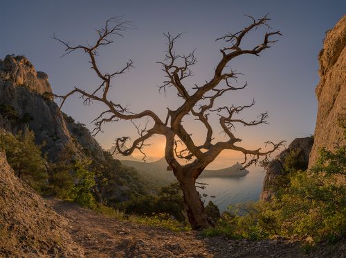 На склонах Караул-Оба
