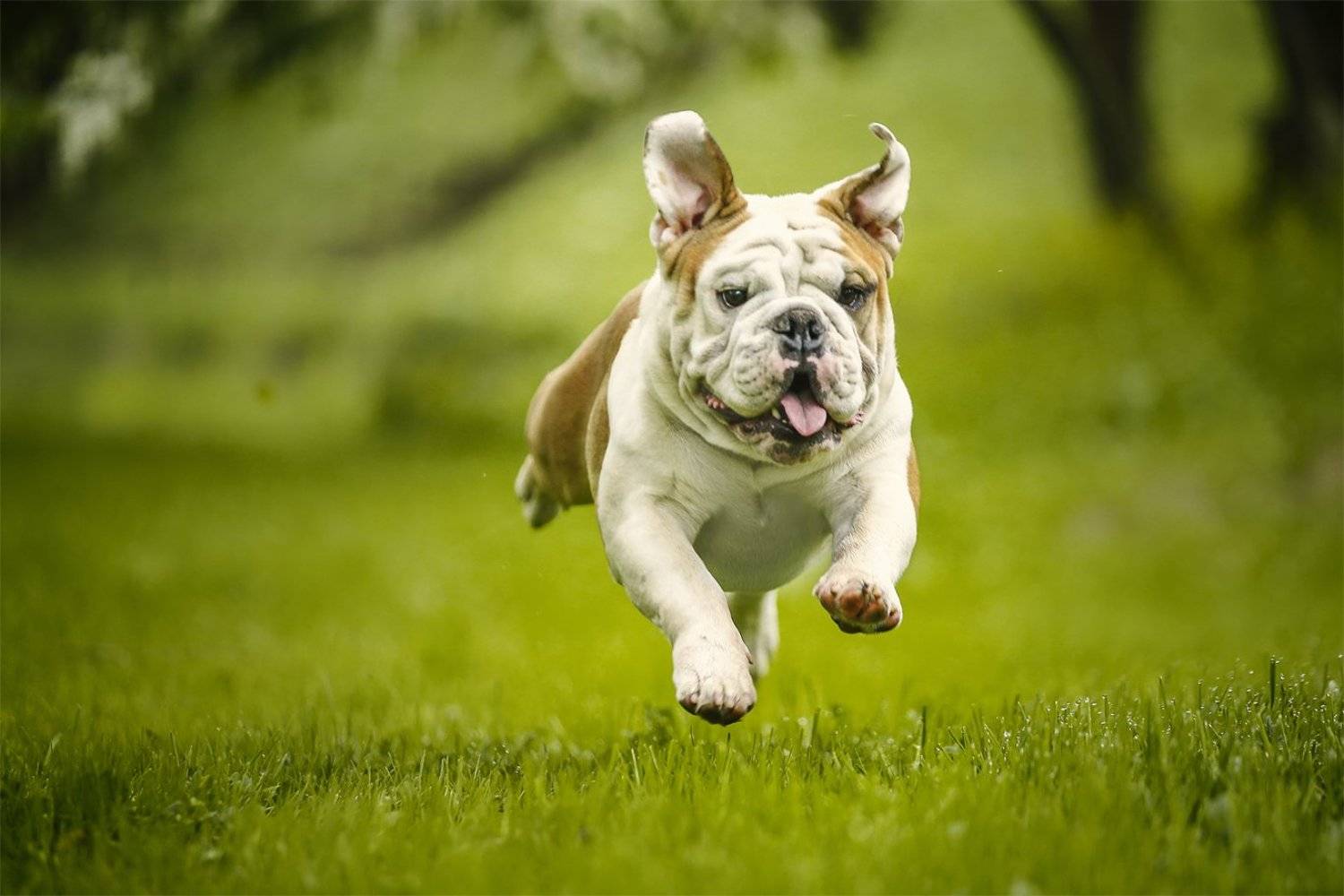 , Андрей Ершов