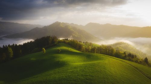 Простой пейзаж