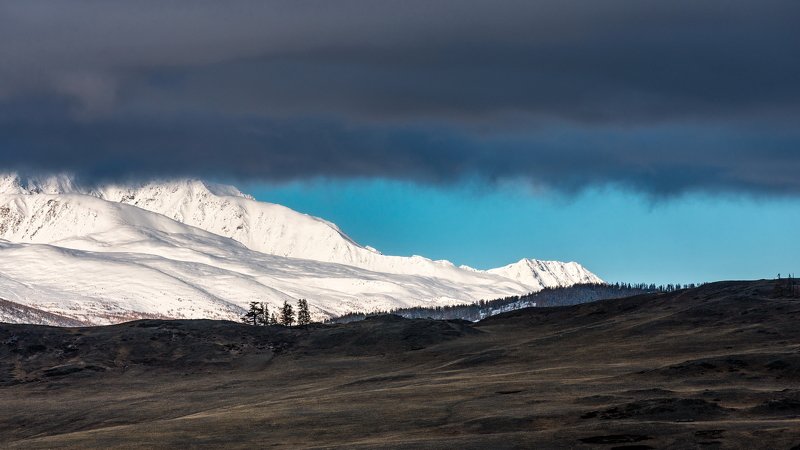 горы, алтай, горный алтай, утро, северо-чуйский хребет, снег, ник васильев, туча, курай, курайская степть Между небом и землёй. фото превью