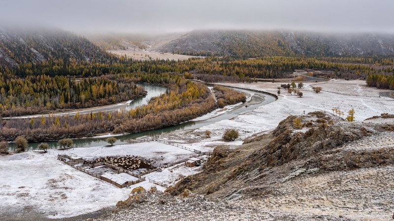 горы, алтай, горный алтай, утро, снег, река, чуя, таджилу, снег, ник васильев Холодное утро. фото превью