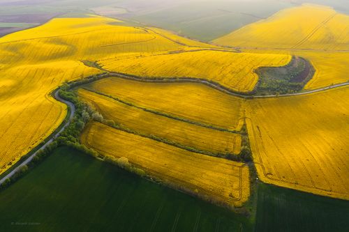 Доспехи весны...