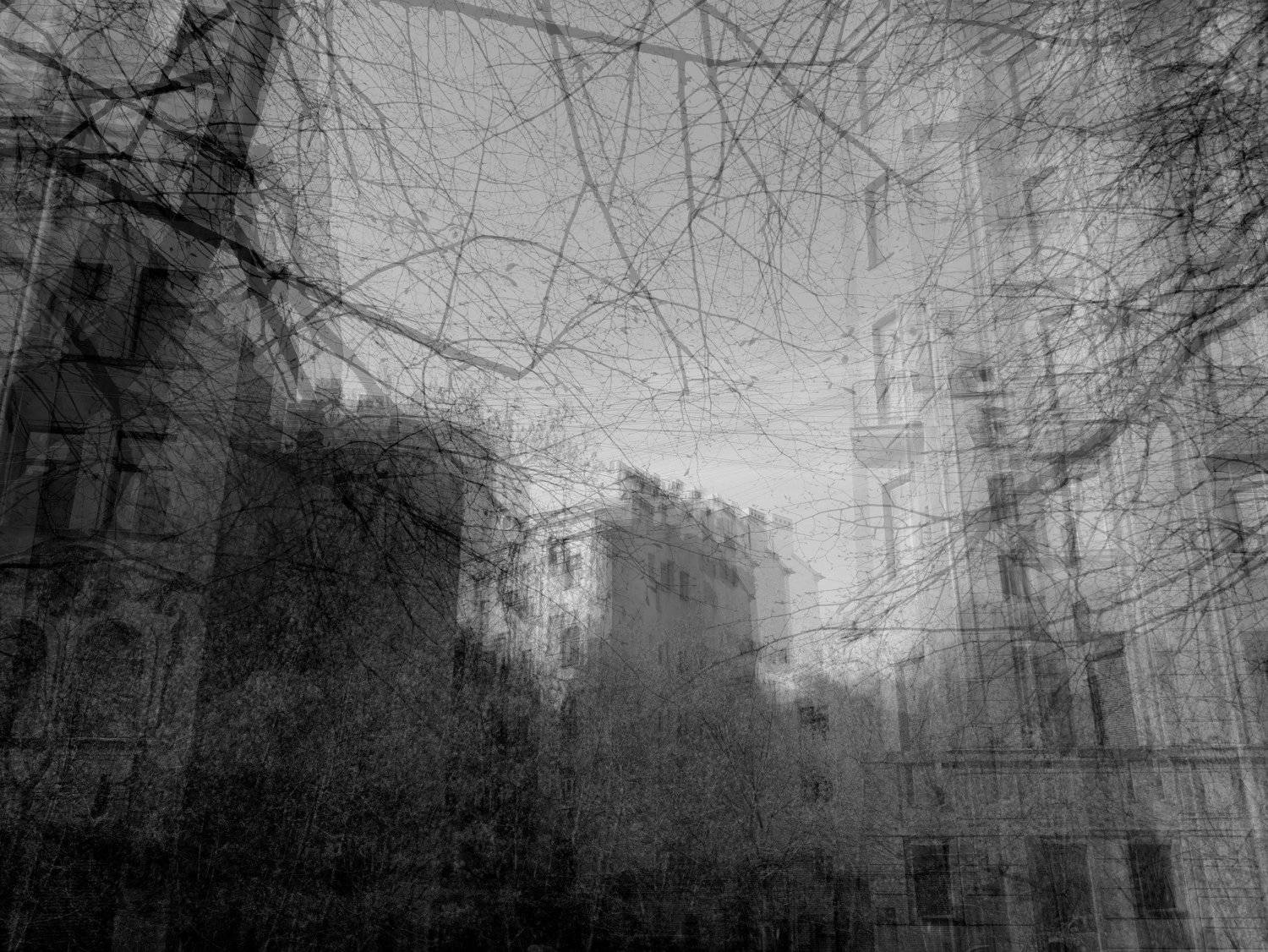 , Антон Лаба