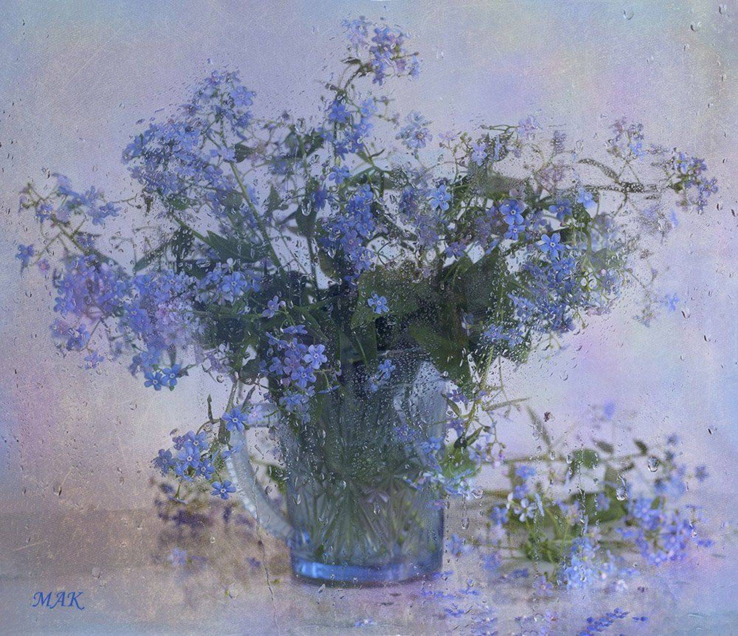 , Марина Кулакова