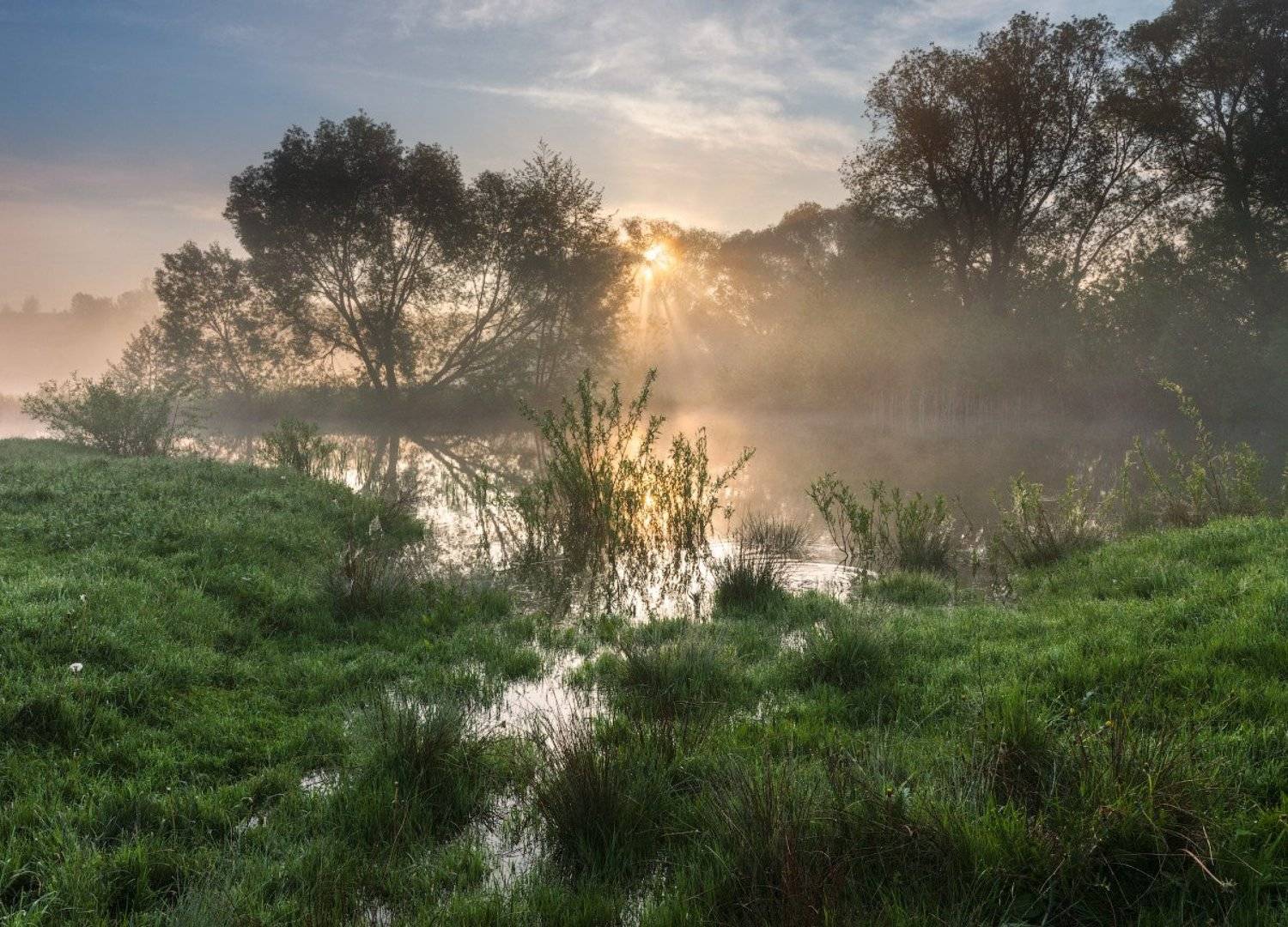 , Сергей Добровольский