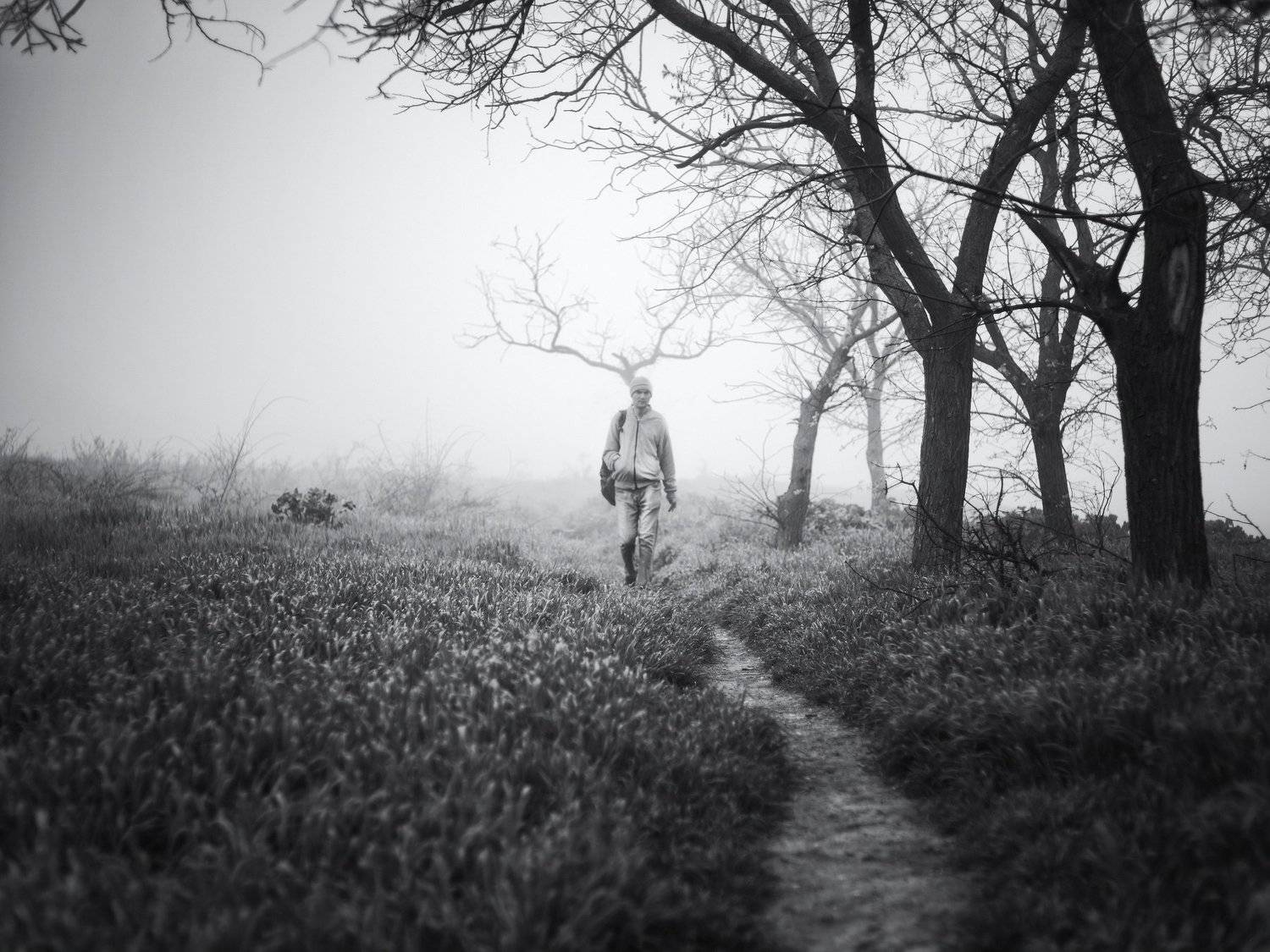 чб, Керчь, туман, рога, человек, дерево, дорога, Игорь Крюков