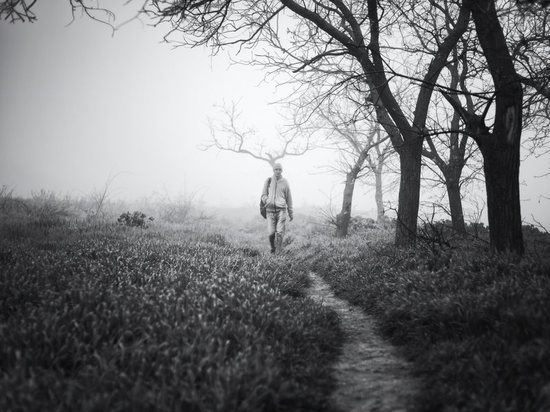 чб, Керчь, туман, рога, человек, дерево, дорога *** фото превью