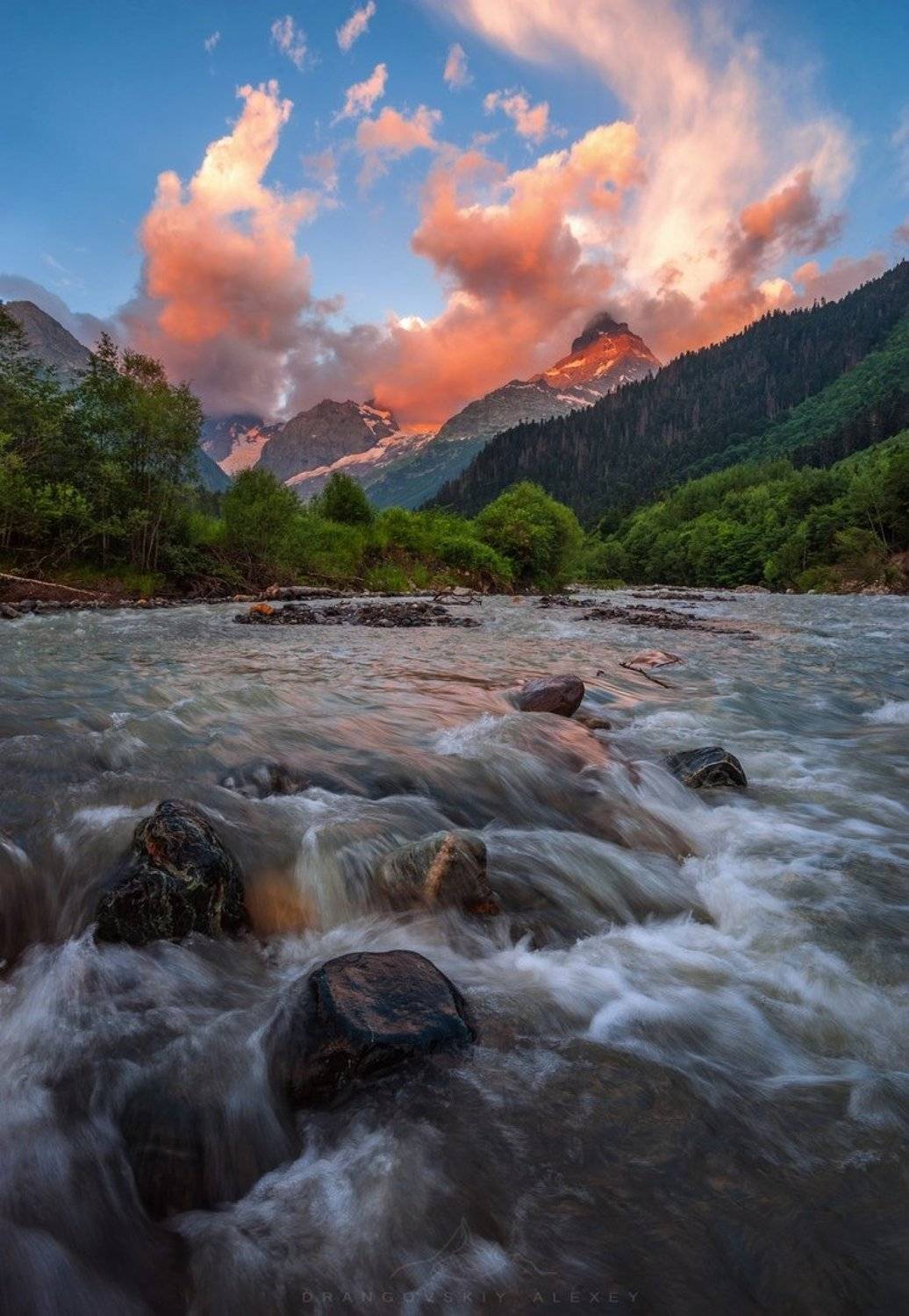 , Алексей Дранговский