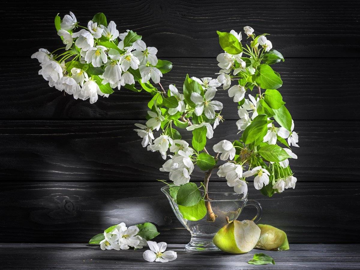 яблоня, цветы, яблоко, ветка, просвет, стекло, вода, Tom Fincher