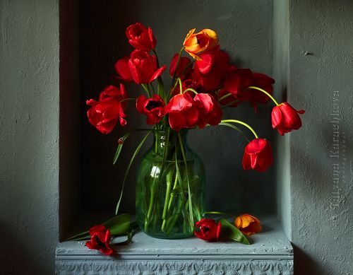 Цветы весны