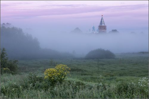 Про жёлтый кустик