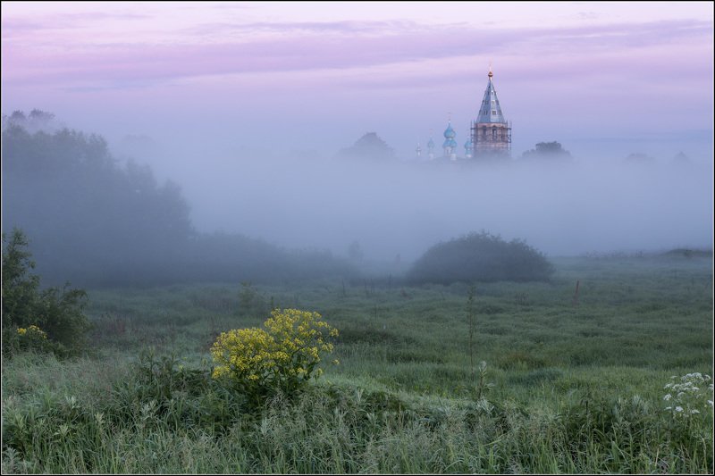 россия, ивановская обл, введенье Про жёлтый кустик фото превью