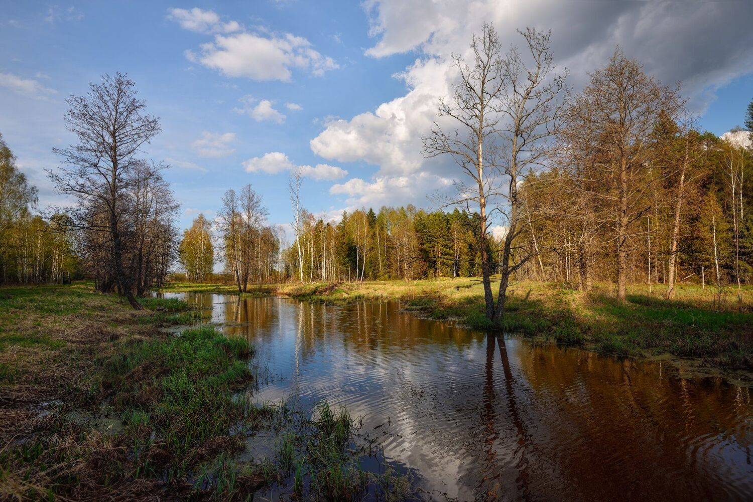 весна,река,лес,небо,облака, Виталий Полуэктов