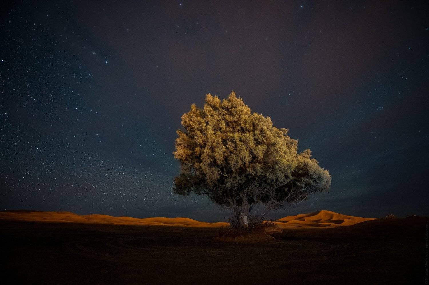 morocco, марокко, africa, африка, sahara, сахара, desert, пустыня, night, ночь, nightscape, landscape, пейзаж, stars, звезды, travel, тревел, Николай Меркулов