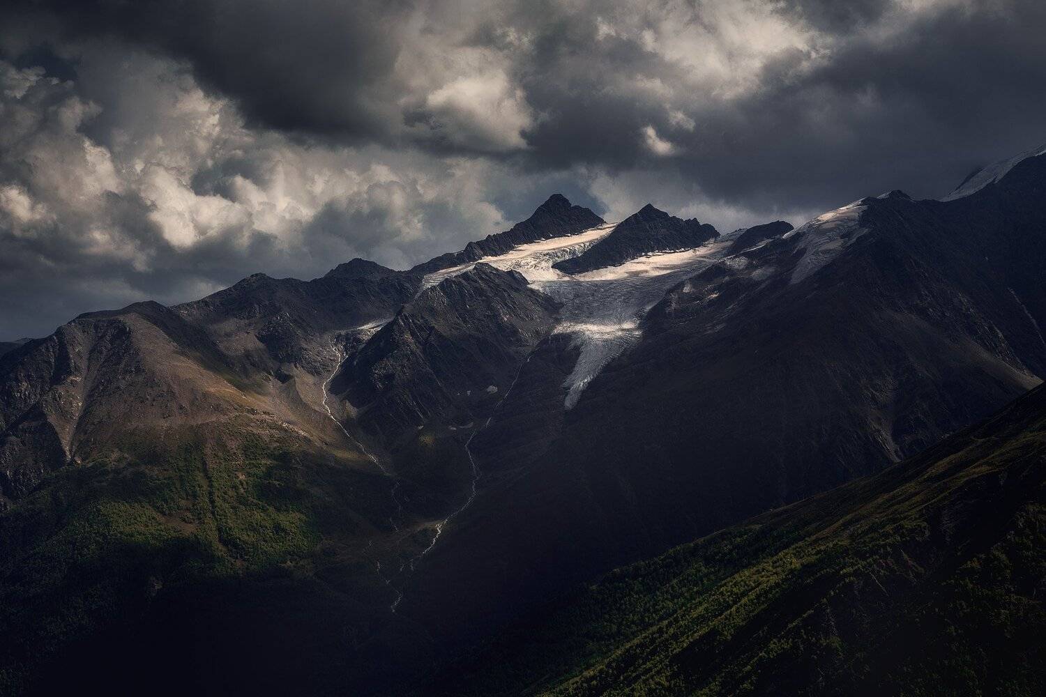 , Дмитрий Купрацевич