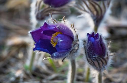 Pro любовь ...