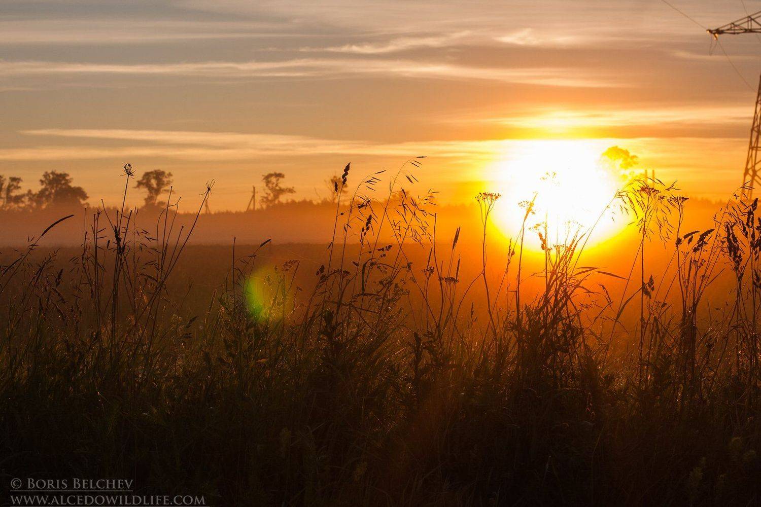 , Борис Белчев