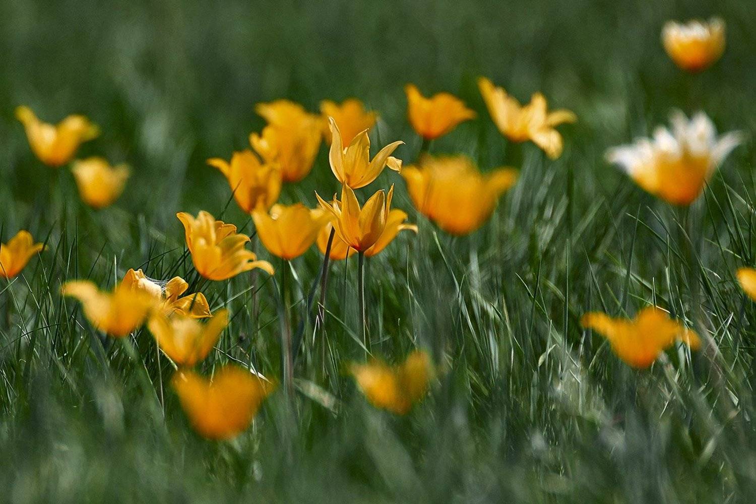 башкирия, южный урал, урал, орск, новотроицк, талкас, гадельша, сибай, зилаир. баймак, юлдыбаево, озеро талкас, водопад, водопад гаделша, пейзаж, лето, осень, качурин, зима, весна, ковыль, Качурин Алексей