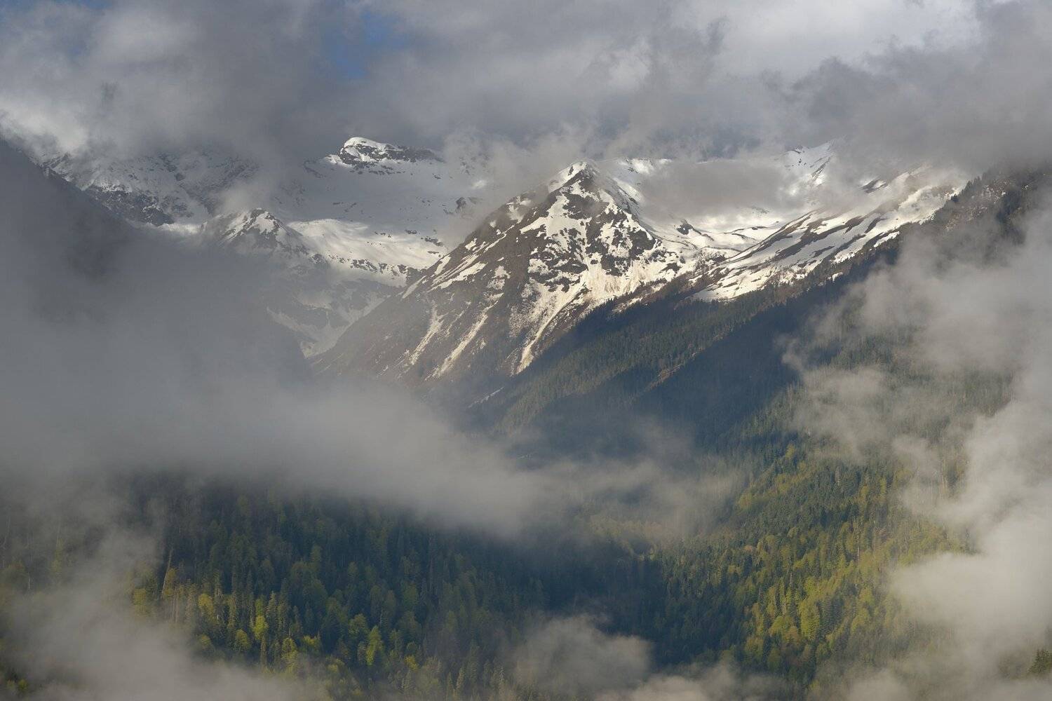 горы весна кавказ закан, Александр Жарников