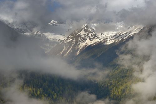 Весна в горах Кавказа,после дождя