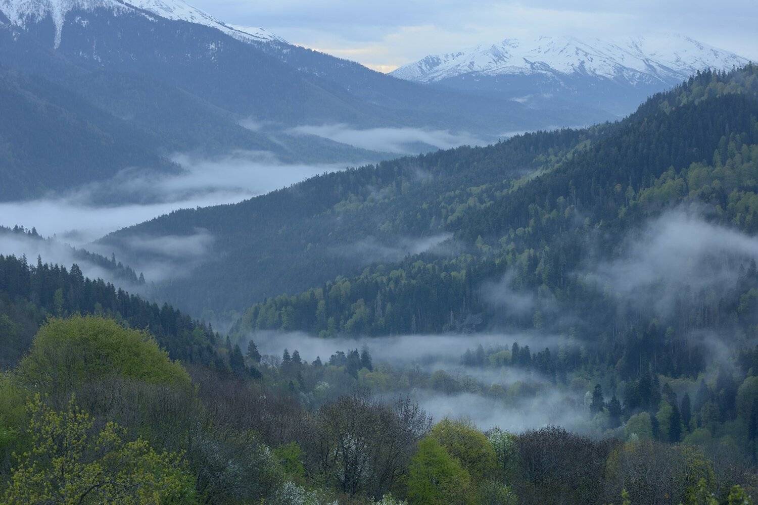 горы весна кавказ закан, Александр Жарников