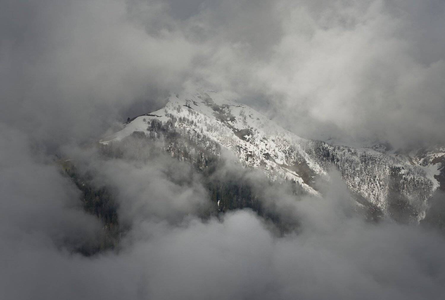 горы весна кавказ закан, Александр Жарников
