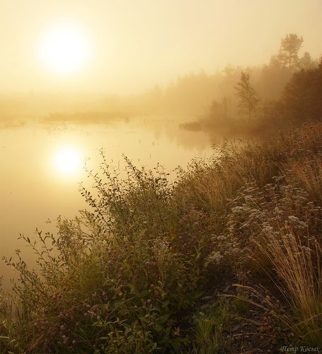 Золото сентября