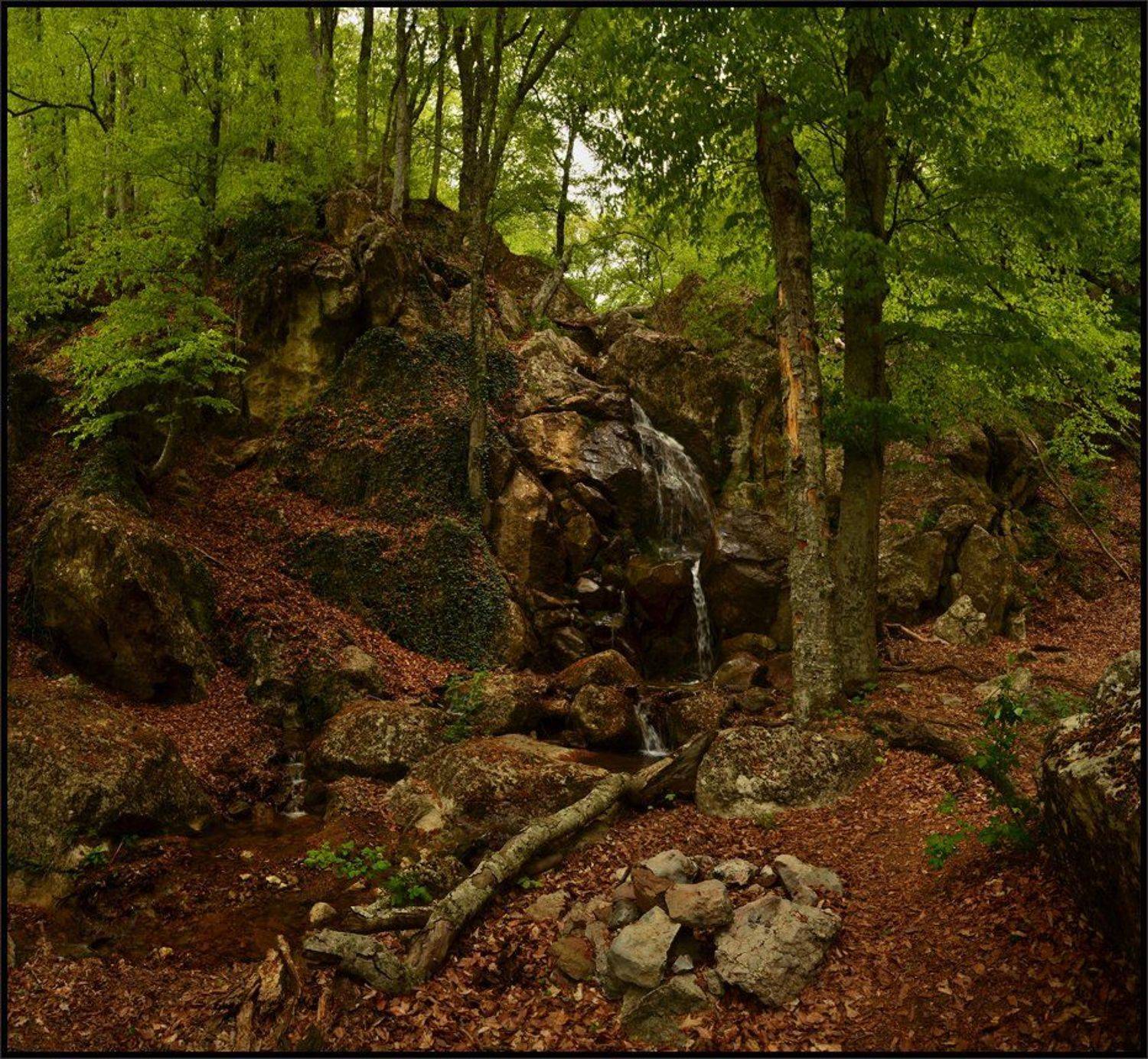 , Владимир Метцгер