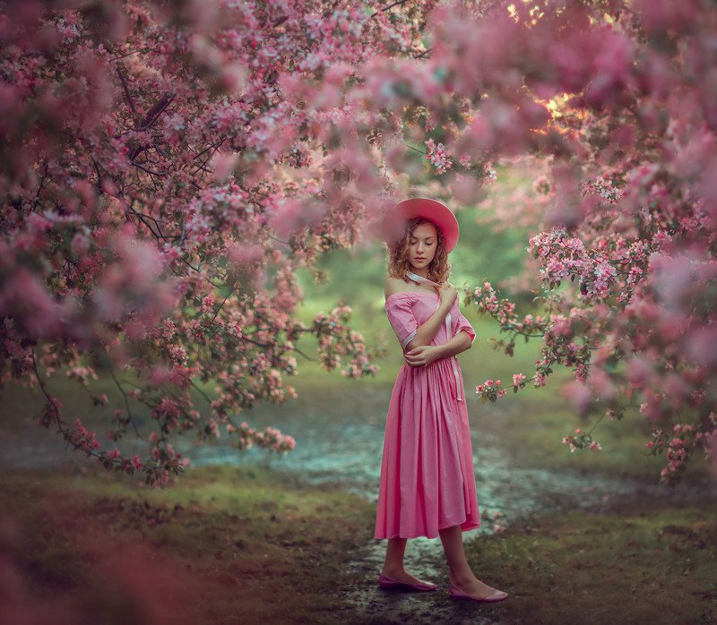 Розовый фото превью