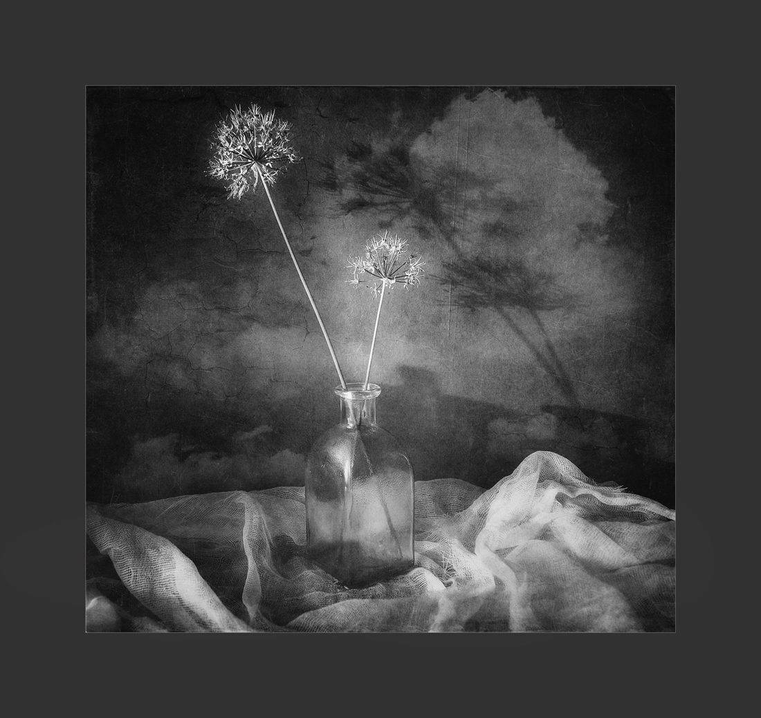 , Александр Хромеев